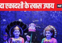 4 चीजों का दान दिलाएगा हर समस्या से छुटकारा! सावन पुत्रदा एकादशी पर जरूर करें ये उपाय, भगवान विष्णु का मिलेगा आशीर्वाद