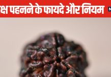 भगवान शिव का स्वरूप कहलाता है एक मुखी रुद्राक्ष, धारण करने मात्र से होते हैं कई चमत्कार, जानें पहनने का तरीका