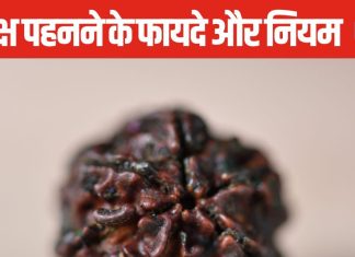 भगवान शिव का स्वरूप कहलाता है एक मुखी रुद्राक्ष, धारण करने मात्र से होते हैं कई चमत्कार, जानें पहनने का तरीका