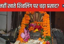शिवलिंग पर चढ़ाया हुआ प्रसाद खा लेते हैं? भूलकर भी न करें ऐसा काम, शास्त्रों में बताई गई है वजह