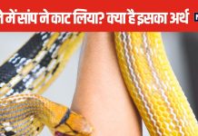 क्या सपने में सांप ने किसी को काट लिया? श्रावण में इस स्वप्न का दिखाई देना किस बात का संकेत? जानें यहां