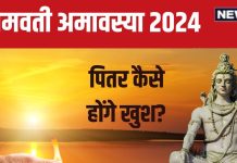 Somvati Amavasya 2024 Date: कब है सोमवती अमावस्या? शिव योग में करें स्नान और दान, जानें पितर कैसे होंगे खुश
