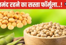 अंडा-चिकन से भी ज्यादा पावरफुल हैं ये सफेद बीज..! मात्र 100 ग्राम सेवन से मिलेंगे ढेरों पोषक तत्व, जानें 5 बड़े फायदे