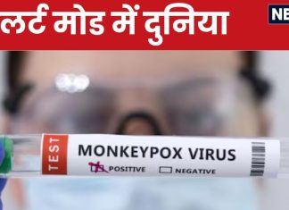 Monkeypox: कोरोना की तरह डराने लगा मंकीपॉक्स! अब तक 100 की मौत, अफ्रीका के बाहर भी मिला मरीज