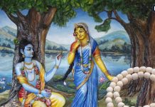 श्रीकृष्ण का बेहद प्रिय है यह पेड़, इसके मोतियों की माला पहनने से होगा लाभ