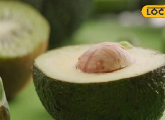 इस सीजन में भूलकर भी ना करें इनका सेवन, नहीं तो शरीर बन जाएगा बीमारियों का घर