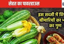 पोषक तत्वों का पावरहाउस है यह मुलायम सब्जी, सिर्फ एक को खाने से विटामिन और मिनिरल्स का मिल जाएगा मुकम्मल डोज