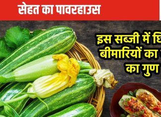 पोषक तत्वों का पावरहाउस है यह मुलायम सब्जी, सिर्फ एक को खाने से विटामिन और मिनिरल्स का मिल जाएगा मुकम्मल डोज