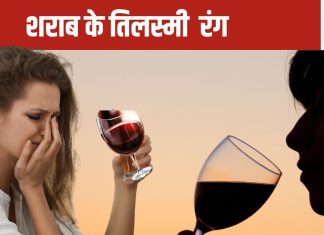 यूं ही नहीं बदनाम है मदिरा, गुगल के इस साहेब का जिन ने किया बत्ती गुल, आपबीती सुन हिल जाएंगे आप, ये है नुकसान