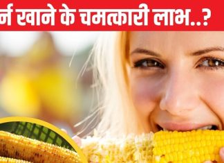 तेजी से घटेगा मोटापा, शुगर लेवल भी रहेगा कंट्रोल..! अगर खाने शुरू कर दें ये पीले दानें, जानें कई और चौंकाने वाले लाभ