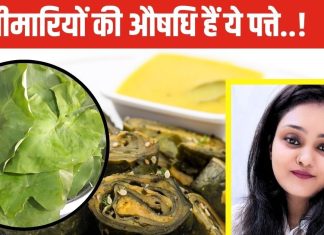 औषधि गुणों से लबालब है इन पत्तों की सब्जी, बरसात में मिलते हैं सिर्फ 2 माह, इम्युनिटी बढ़ाने और चर्बी घटाने में रामबाण