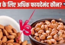 क्या बादाम जितनी ही फायदेमंद है मूंगफली? अक्सर लोगों में होती है कंफ्यूजन, डाइटिशियन से समझें दोनों में अंतर