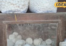 देशभर में मशहूर है यह खास मिठाई, यूपी के इस शहर में होती है तैयार, गजब का है स्वाद