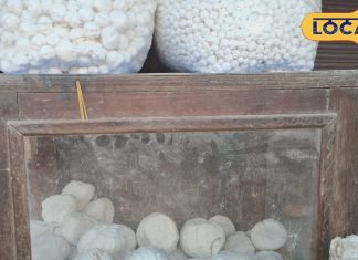 देशभर में मशहूर है यह खास मिठाई, यूपी के इस शहर में होती है तैयार, गजब का है स्वाद