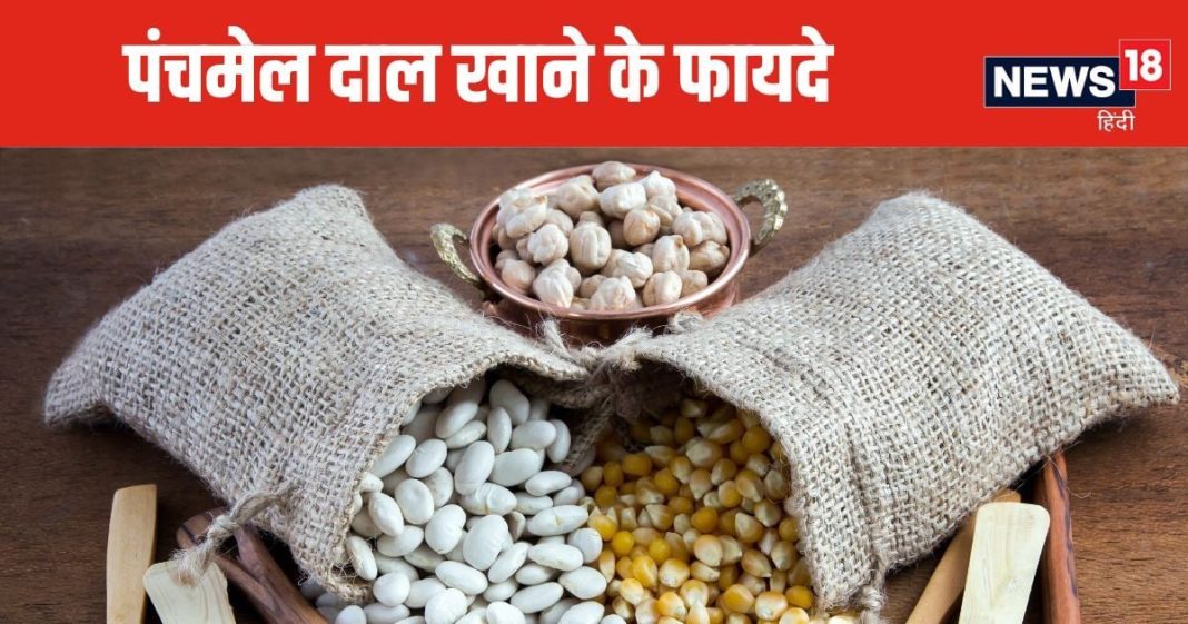 प्रोटीन, फाइबर का बाप है 5 दालों से मिलकर बना ये पंचमेल दाल, डेली खाने से वजन होगा तेजी से कम, शुगर लेवल भी रहेगा कंट्रोल