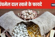 प्रोटीन, फाइबर का बाप है 5 दालों से मिलकर बना ये पंचमेल दाल, डेली खाने से वजन होगा तेजी से कम, शुगर लेवल भी रहेगा कंट्रोल