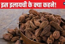 पावरहाउस हैं इस इलायची के दाने, पेचिश, कब्ज, गैस का बेहतरीन घरेलू इलाज, कैंसर को भी दे मात, खराब मूड को करे दुरुस्त