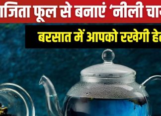 इम्यूनिटी ही नहीं, दिल के लिए भी बहुत फायदेमंद है नीली चाय, ऐसे बनाएं