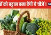 कैल्शियम की फैक्ट्री हैं ये 5 सब्जियां ! हड्डियों को बना देंगी लोहे सा मजबूत, कमजोर शरीर में डाल देंगी जान