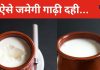 घर में जमेगी बाजार जैसी गाढ़ी दही, नहीं दिखेगा जरा भी पानी, बस करना होगा यह काम