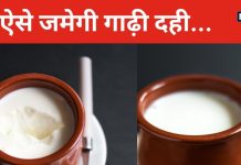 घर में जमेगी बाजार जैसी गाढ़ी दही, नहीं दिखेगा जरा भी पानी, बस करना होगा यह काम