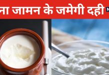 घर में खत्म हो गया जामन? इस ट्रिक से जमेगी मलाईदार दही, बस करना होगा यह काम