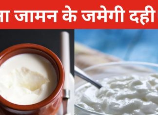 घर में खत्म हो गया जामन? इस ट्रिक से जमेगी मलाईदार दही, बस करना होगा यह काम