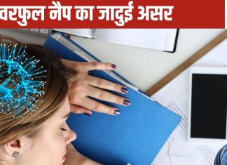 अरे वाह, दिन की यह छोटी सी झपकी दिमाग में घोल देती है बुद्धि की पुड़िया, क्या आपमें है यह आदत