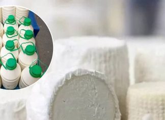 इस जानवर के दूध से बनता है दुनिया का सबसे महंगा पनीर, 1 किलो की कीमत 80000, पोषण से है भरपूर