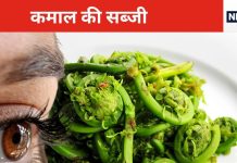 बाज की नजर और खून की शुद्धि चाहिए तो इस अनोखी सब्जी का कीजिए सेवन, पोषक तत्व का पावरहाउस है यह, बीपी को औंधे मुंह गिरा देती