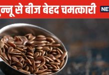 हाई कोलेस्ट्रॉल का सत्यानाश कर देंगे ये छोटे बीज ! पेट का कचरा निकाल देंगे बाहर, शुगर पर लगाएंगे लगाम