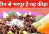 क्या टिड्डे खाना सेहत के लिए सेफ? चिकन और अंडे से भी अधिक होता है प्रोटीन, फायदे जान हो जाएंगे हैरान