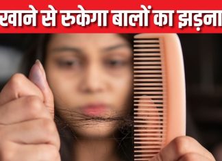 पोषण की कमी तो नहीं Hair Fall की वजह? इन 5 जरूरी चीजों को आज ही करें डाइट में शामिल, तभी बाल बनेंगे घने-लंबे