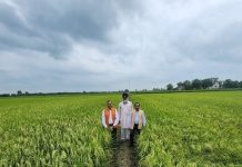 बारिश के मौसम में जी-भर कर खा सकेंगे हरी सब्जियां, नहीं होगा कीटनाशक का डर, किसान भी होंगे मालामाल