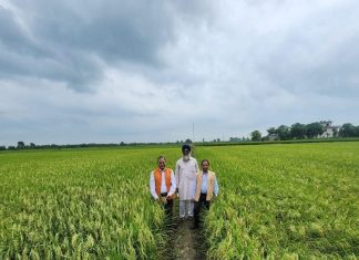 बारिश के मौसम में जी-भर कर खा सकेंगे हरी सब्जियां, नहीं होगा कीटनाशक का डर, किसान भी होंगे मालामाल