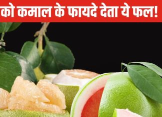 सेहत के लिए फायदेमंद है ये खट्टा फल! सेवन करने से नशा भी हो जाएगा हिरन!
