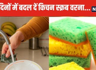 क्या बर्तन धोने वाले स्क्रब, स्पॉन्ज को महीनों करते हैं इस्तेमाल? हो जाएगी ये 2 समस्या, जानें कितने दिनों तक करें यूज, कब बदलें