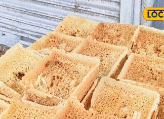 Jalidar Ghevar is available here in Sawan food prepared with pure desi ghee dominance continues for 20 years – Bharat.one हिंदी