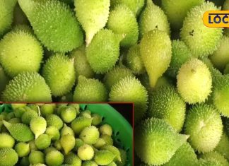 सिर्फ बरसात के मौसम में मिलती है ये सब्जी, ताकतवर इतनी कि भूल जाएंगे चिकन-मटन