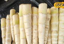 सिर्फ बरसात के मौसम में 10 दिन मिलती है ये सब्जी, स्वाद ऐसा कि भूल जाएंगे चिकन