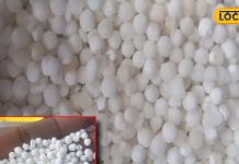 benefits of pashanbhed use Burning sensation during urination or kidney stones Get relief from problem of insomnia – Bharat.one हिंदी