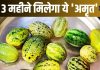 दिखने में छोटी, स्वाद में खट्टी, पर प्रोटीन का ‘कारखाना’ है ये सब्जी, बस 3 महीने मिलता है ये ‘अमृत’