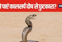 कालसर्प दोष से बुरी तरह हैं परेशान, इस नागपंचमी करें ये खास उपाय, जल्द मिलेगी राहत, बनने लगेंगे हर काम!