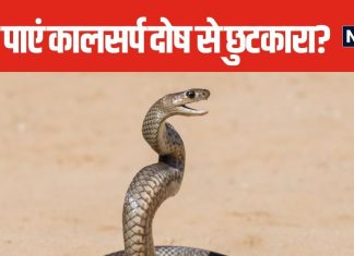 कालसर्प दोष से बुरी तरह हैं परेशान, इस नागपंचमी करें ये खास उपाय, जल्द मिलेगी राहत, बनने लगेंगे हर काम!