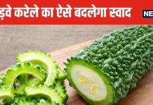 करेले का कड़वापन होगा दूर, बस इन 4 आसान ट्रिक्स की लें मदद, पोषक तत्व भी रहेंगे बरकरार, बच्चे भी शुरू कर देंगे खाना