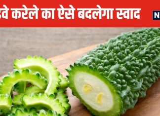 करेले का कड़वापन होगा दूर, बस इन 4 आसान ट्रिक्स की लें मदद, पोषक तत्व भी रहेंगे बरकरार, बच्चे भी शुरू कर देंगे खाना