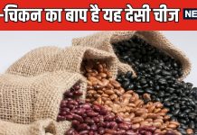 रात को पानी में भिगोकर रख दें यह लाल चीज, सुबह सब्जी बनाकर कर लें सेवन, फौलाद सा मजबूत बनेगा शरीर