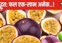 सिर से पांव तक औषधीय गुणों से लदा है ये फल, भगवान कृष्ण के नाम से है सीधा संबंध, 5 बीमारियों का जानी दुश्मन