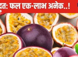 सिर से पांव तक औषधीय गुणों से लदा है ये फल, भगवान कृष्ण के नाम से है सीधा संबंध, 5 बीमारियों का जानी दुश्मन