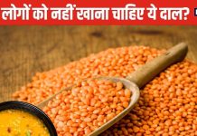 किन लोगों को नहीं खाना चाहिए मसूर की दाल? 5 बीमारियों का बढ़ता है जोखिम, डॉक्टर से समझें सही बात
